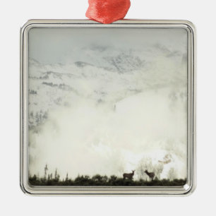 Ornamento De Metal Elk no Grand Teton National Park Fotografia