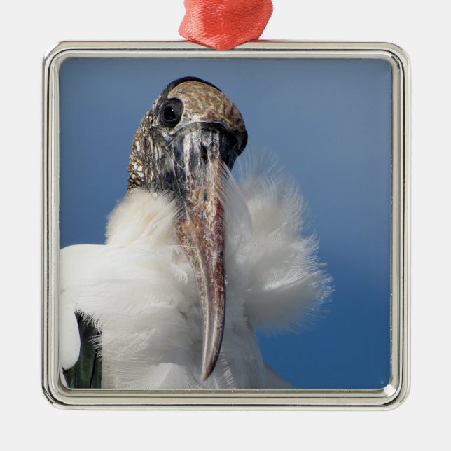 Ornamento De Metal Elvis - Wood Stork - Ornament Premium (Frente)