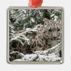 Ornamento De Metal Esconder de Cub do leopardo de neve