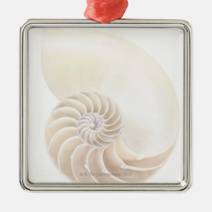 Ornamento De Metal Escudo do nautilus, fim-acima