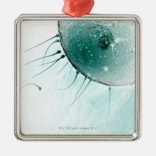 Ornamento De Metal Esperma que fertiliza um óvulo