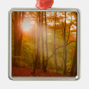 Ornamento De Metal Esplendor do outono