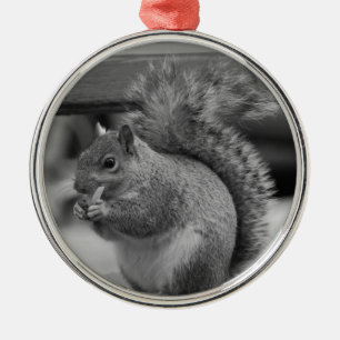 Ornamento De Metal Esquilo