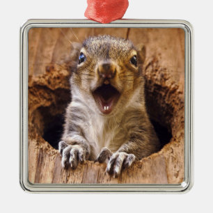 Ornamento De Metal Esquilo chocado