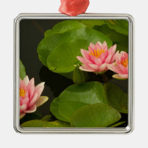 Ornamento De Metal Estados Unidos, DC, Washington, Kenilworth 4