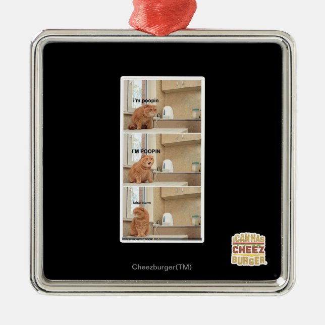 Ornamento De Metal Estou a fazer cocô! (Frente)