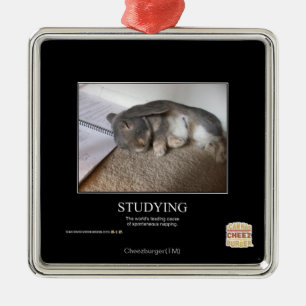 Ornamento De Metal Estudo