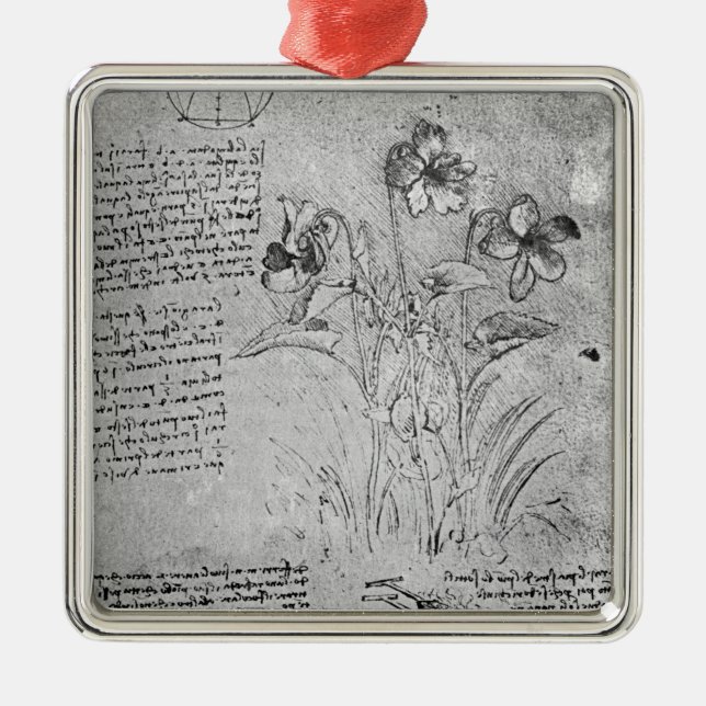 Ornamento De Metal Estudos das violas (Frente)