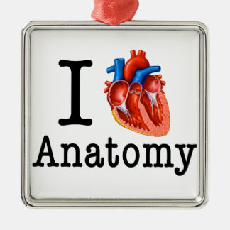 Ornamento De Metal Eu adoro Anatomia