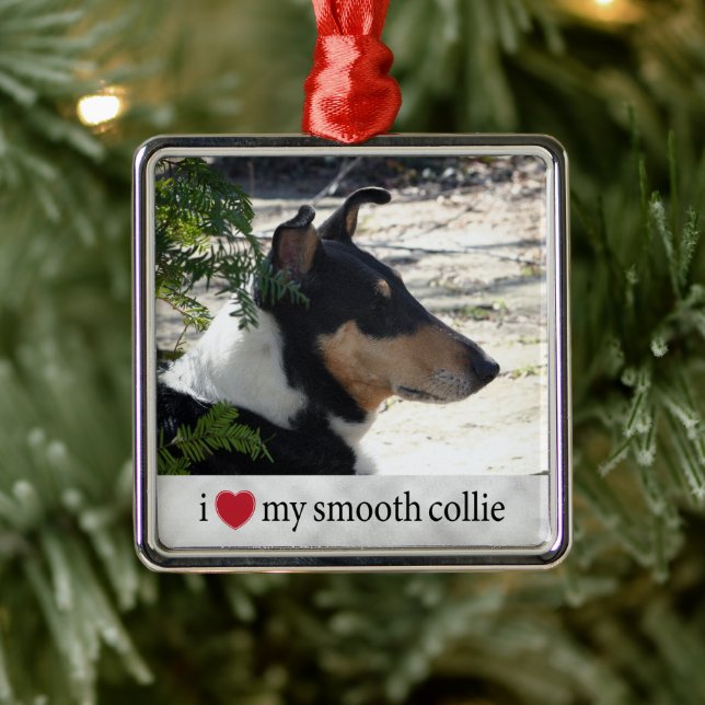 Ornamento De Metal Eu adoro o Natal da minha suave Collie (Árvore)