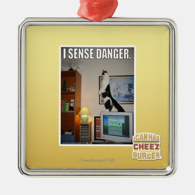 Ornamento De Metal Eu detecto o perigo (Frente)