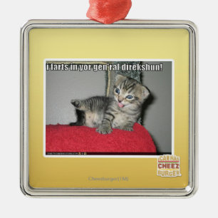 Ornamento De Metal Eu farts no direkshun gen'ral do yor