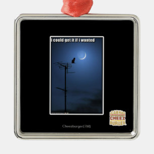 Ornamento De Metal Eu poderia obtê-lo se eu quis
