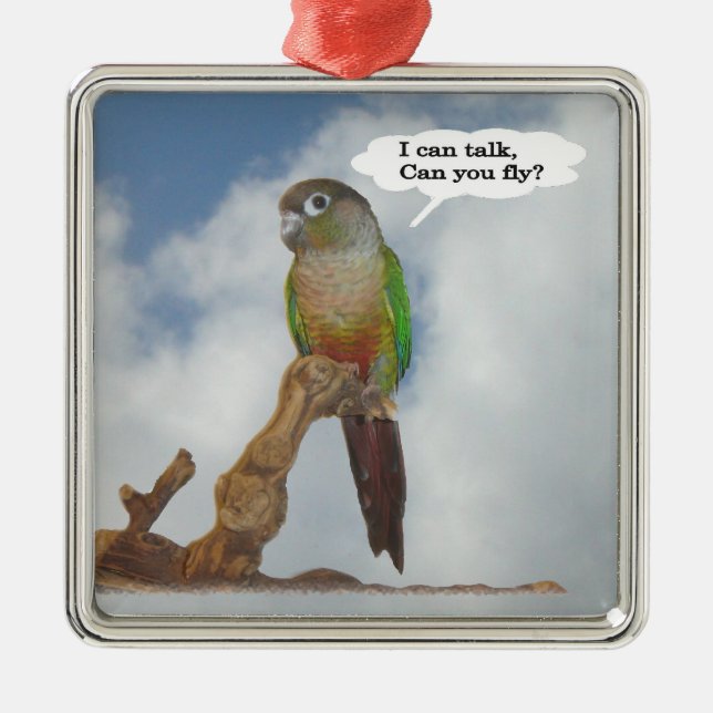 Ornamento De Metal Eu posso falar, você pode voar? (Frente)