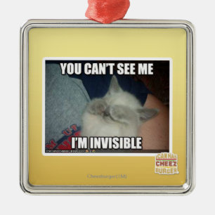 Ornamento De Metal Eu sou invisível