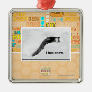 Ornamento De Metal Eu tenho a neve