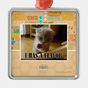 Ornamento De Metal Eu tenho um sabor