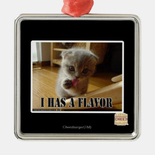Ornamento De Metal Eu tenho um sabor