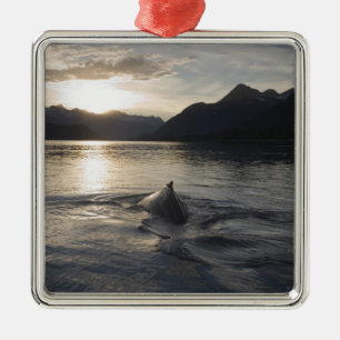 Ornamento De Metal EUA, Alasca, Parque Nacional Glacier Bay,