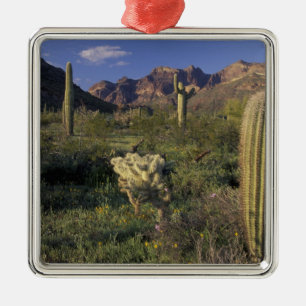 Ornamento De Metal EUA, Arizona, Monumento Nacional Organ Pipe.