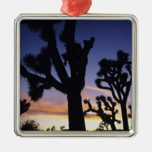 Ornamento De Metal EUA, Califórnia, Parque Nacional Joshua Tree,
