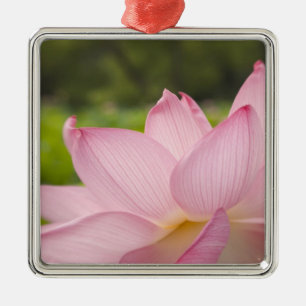 Ornamento De Metal EUA, DC, Washington, Kenilworth Aquatic 2