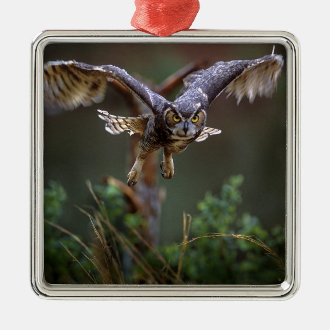 Ornamento De Metal EUA, Geórgia, Pine Mountain, Jardins Callaway. (Frente)