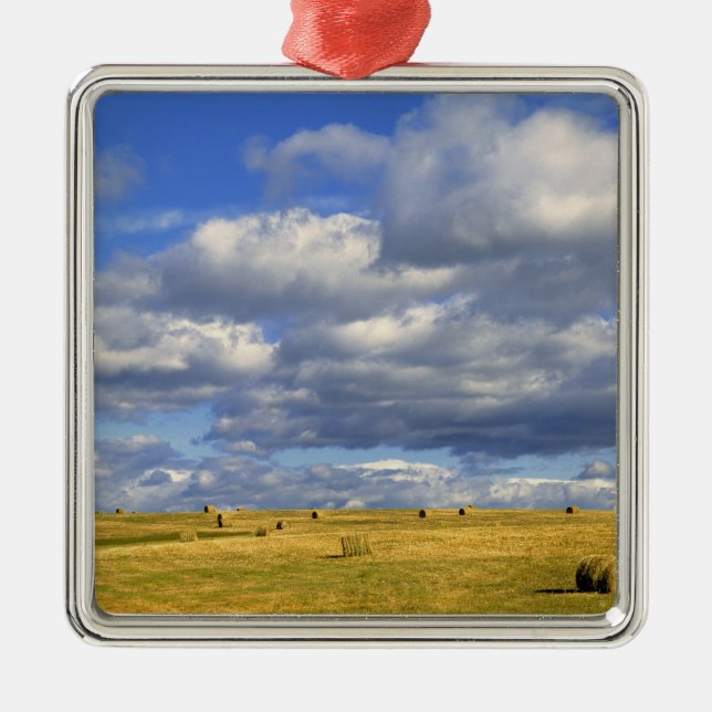 Ornamento De Metal EUA, Nebraska, Morrill County. Ouro (Frente)