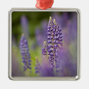 Ornamento De Metal EUA, nordeste de Minnesota, perto de Silver Bay,