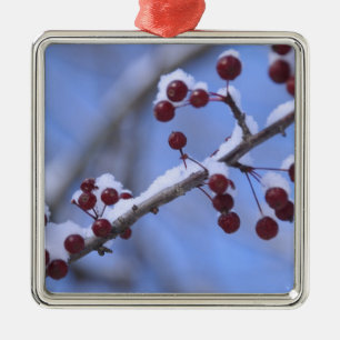 Ornamento De Metal EUA, Nova Inglaterra, Massachusetts, Reading, 3