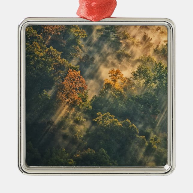 Ornamento De Metal EUA, Nova York, Parque Estadual Letchworth.Sol (Frente)