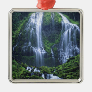 Ornamento De Metal EUA, Oregon, Floresta Nacional Willamette. Exibiç