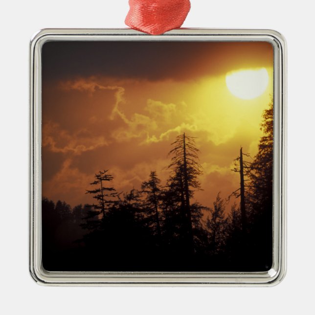 Ornamento De Metal EUA, Tennessee, Montanhas Enfumaçados Excelentes N (Frente)