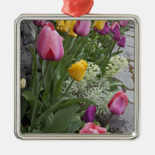 Ornamento De Metal EUA, Washington, Seabeck. Tulipas alinham jardim