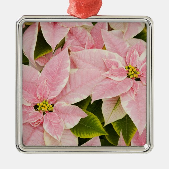 Ornamento De Metal EUA, Washington, Woodinville, Molbak's Nursery, 4 (Frente)