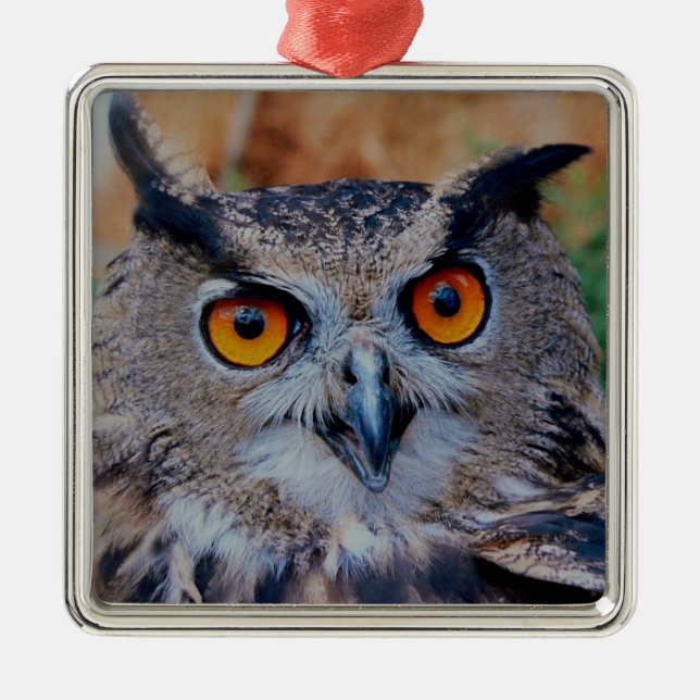 Ornamento De Metal Eurasian Eagle Owl (Frente)