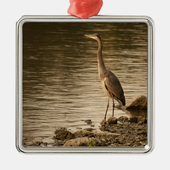 Ornamento De Metal Excelente Blue Heron (Frente)