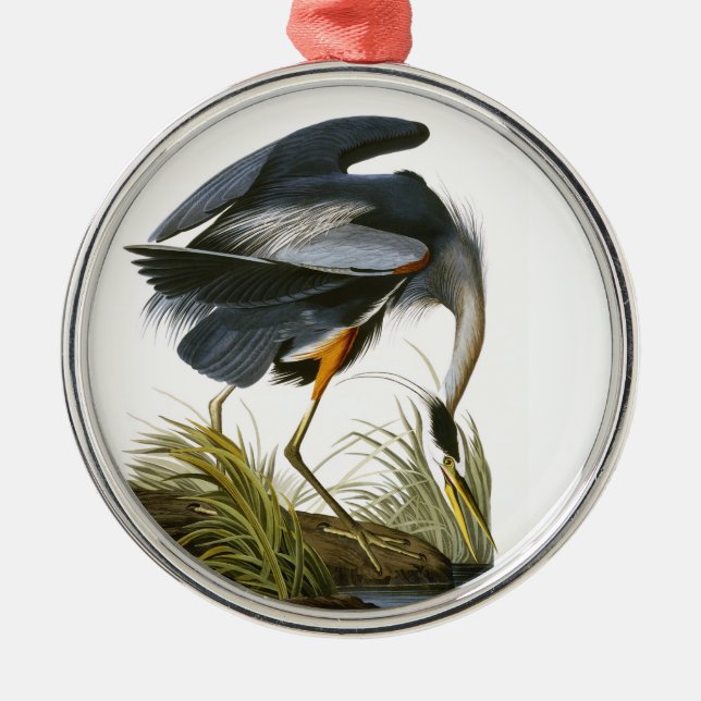 Ornamento De Metal Excelente Blue Heron, John James Audubon (Frente)