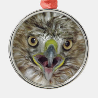 Ornamento De Metal Falcão salvado e liberado