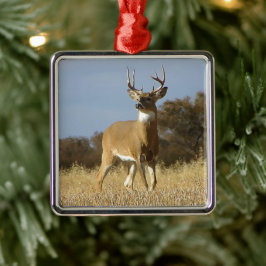 Ornamento De Metal Fanfarrão do Whitetail do outono