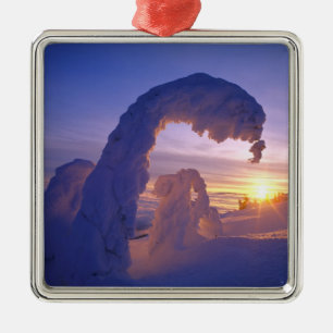 Ornamento De Metal Fantasmas de neve na Cordilheira Whitefish de Mont