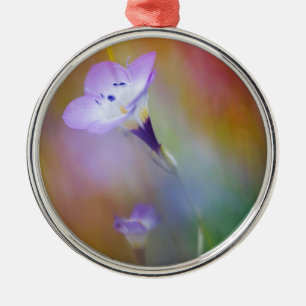 Ornamento De Metal Farol de Loma de Ponto Antigo  Monumento Cabrillo