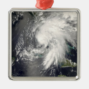 Ornamento De Metal Fay tropical 2 da tempestade