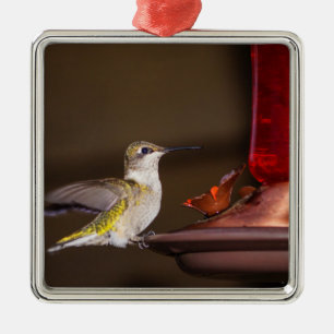 Ornamento De Metal Febre, beija-flor