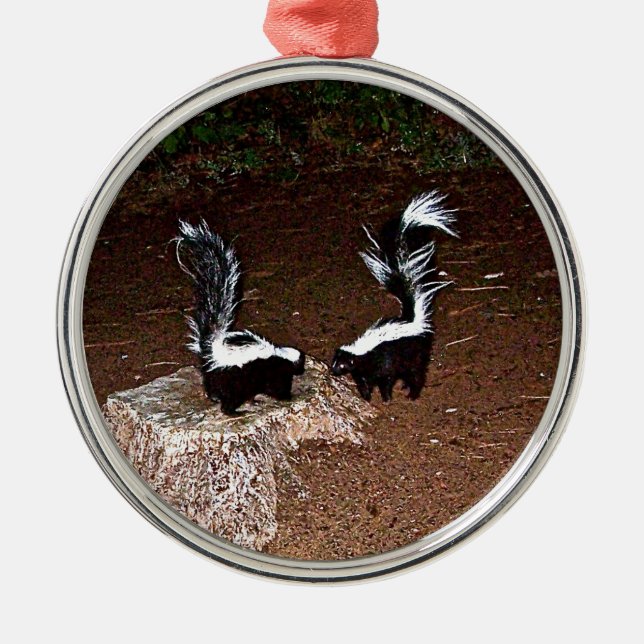 Ornamento De Metal Fedores do amor (Frente)