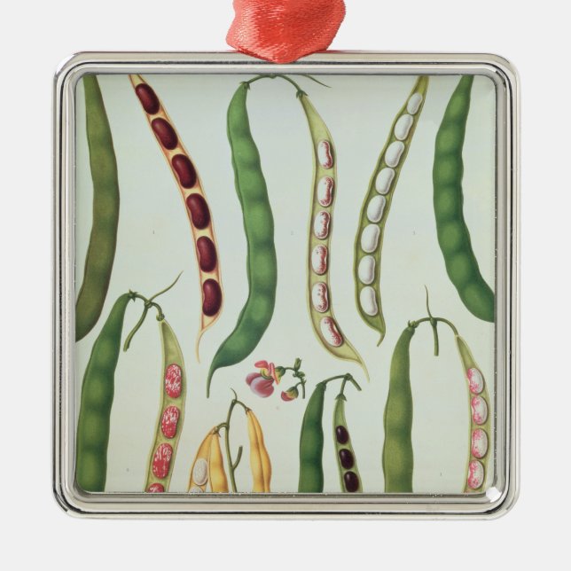 Ornamento De Metal Feijões (Frente)