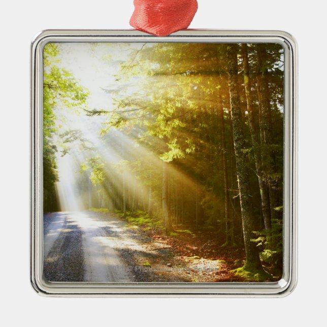 Ornamento De Metal Feixes de Sun através da floresta no parque (Frente)