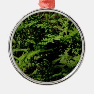 Ornamento De Metal Ferns do chão da floresta verde botânica