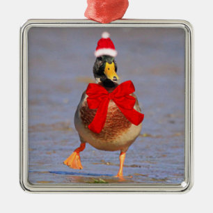 Ornamento De Metal Festivo Diversão Mallard Duck Natal