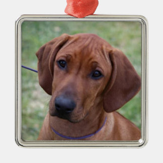 Ornamento De Metal Filhote de cachorro de Ridgeback